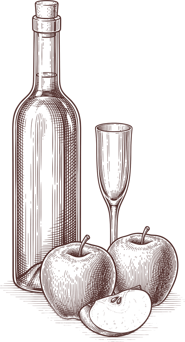Tuschezeichnung einer Flasche mit Glas und Äpfeln